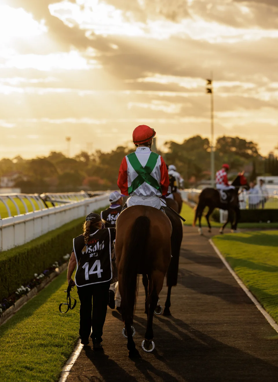 Premier Bloodstock, Exceptional Value